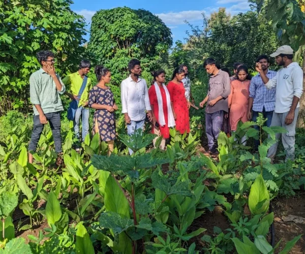 Aranya Agricultural Alternatives – Permaculture India