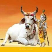 Sri Bharathi Ashram Gowshala