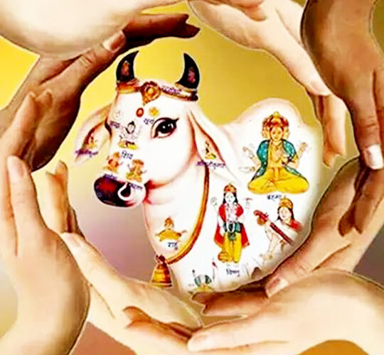 Sri Sankara Vidyabharathi Gowsamrakshana Charitable Trust